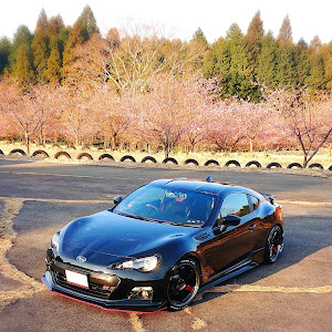 BRZ ZC6