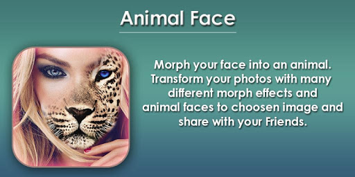 Animal Face Changer - Morphing