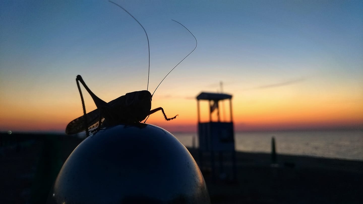 Al silenzio del tramonto di Francesco72