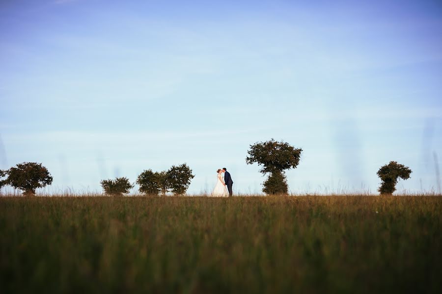 Photographe de mariage Alexandra Bellanger (alexbell). Photo du 15 novembre 2021