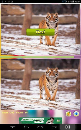 免費下載策略APP|Find Differences of Tiger Pics app開箱文|APP開箱王