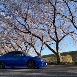 インプレッサ WRX STI GDB