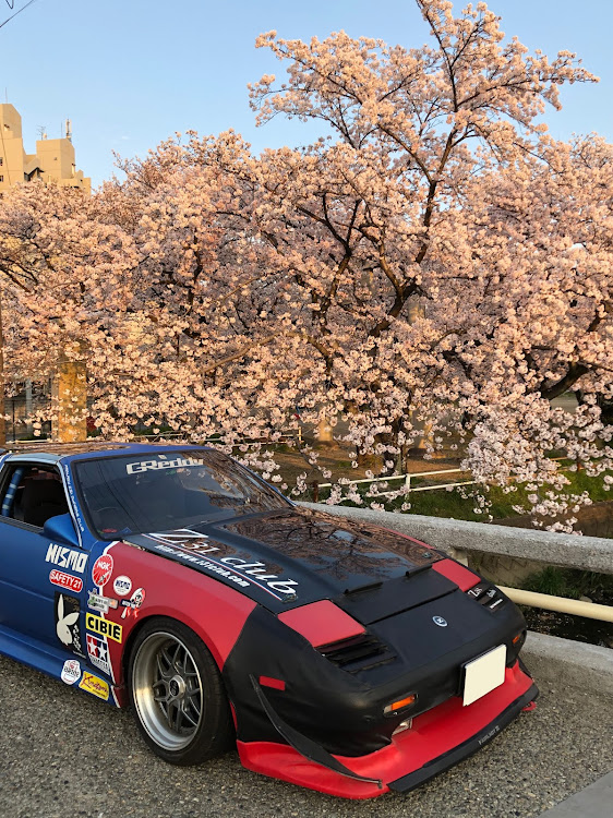 フェアレディZの桜と愛車・桜・ドライブに関するカスタム事例の投稿画像5枚目