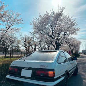 スプリンタートレノ AE86