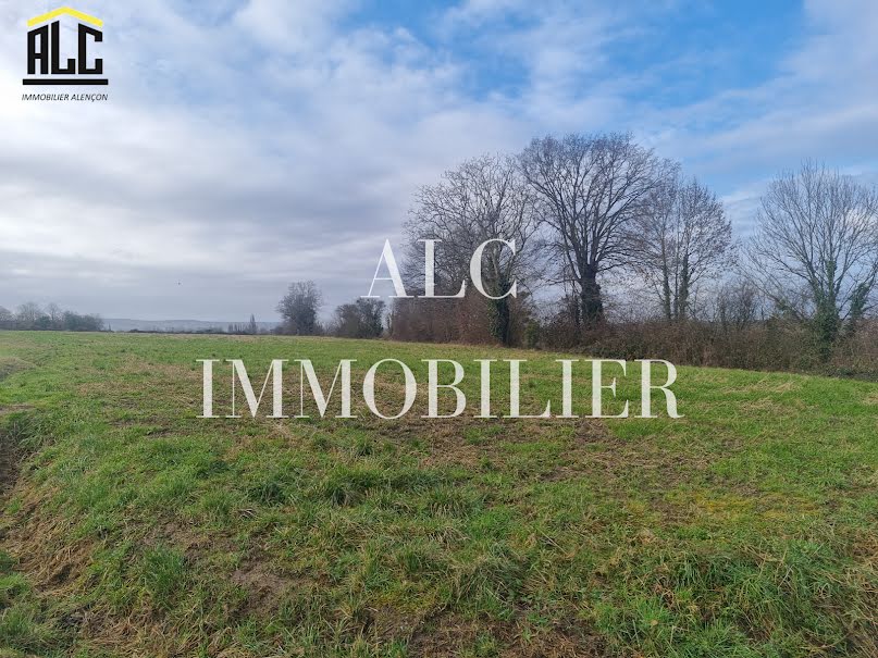 Vente terrain  10500 m² à Le Mêle-sur-Sarthe (61170), 76 990 €