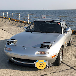 ロードスター NA8C