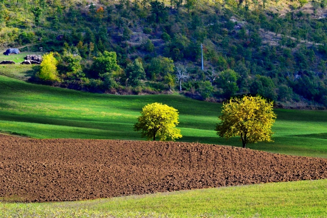 Green Hills di giuseppedangelo