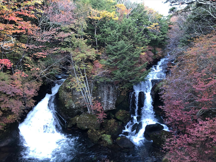 の投稿画像5枚目