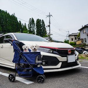 シビックタイプR FK8