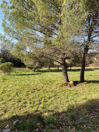 terrain à Saint-Maximin-la-Sainte-Baume (83)