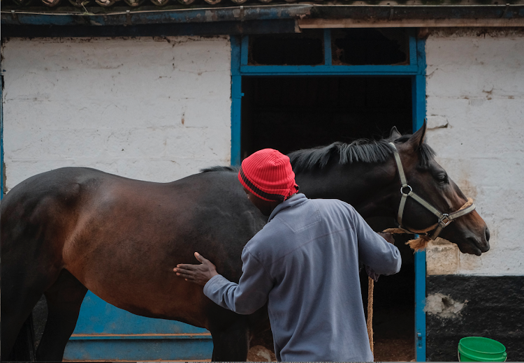 Favourite horse Saint Moritz ready for Sunday's action