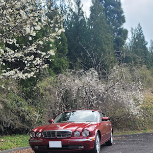 XJ