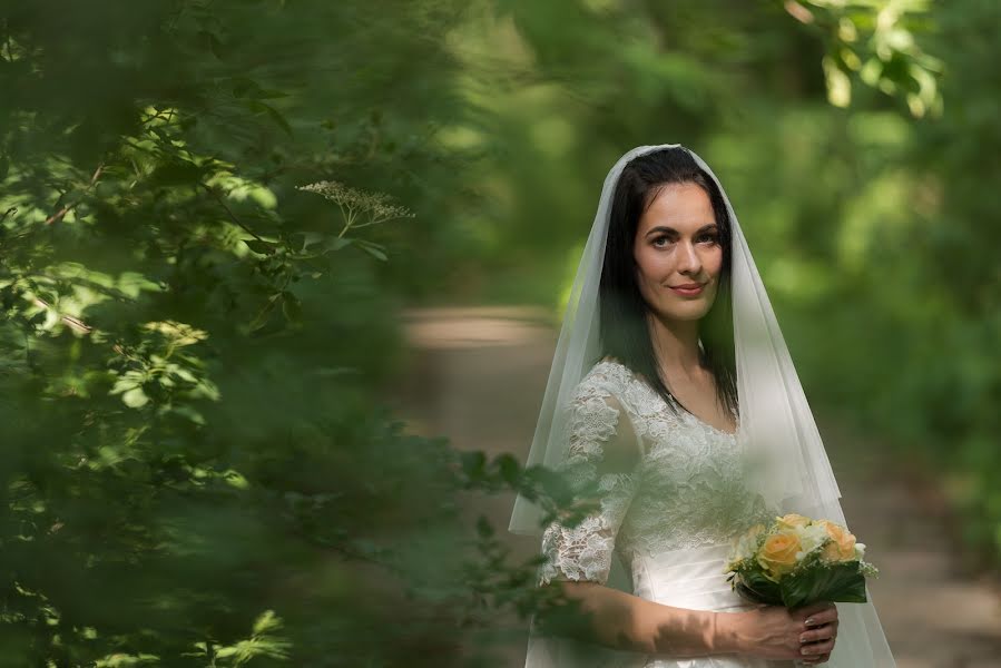 Bryllupsfotograf Norbert Ludaš (norbertludas). Bilde av 24 mai 2019