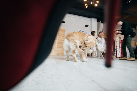 Photographe de mariage Sasha Bazenko (bvzenko). Photo du 16 mars 2017