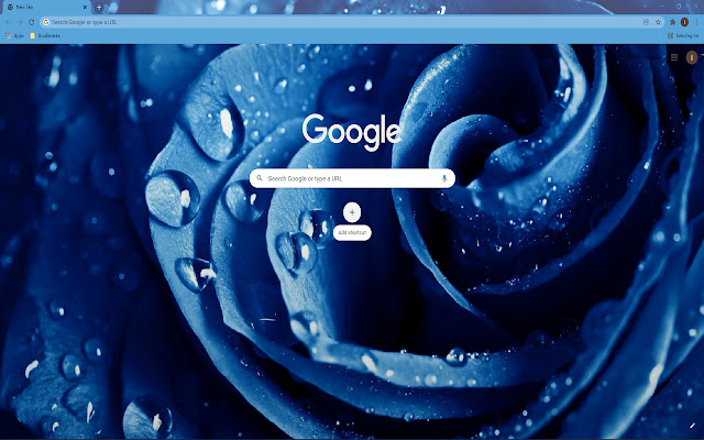 Blue Rose HD Wallpaper Theme chrome extension