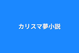 カリスマ夢小説