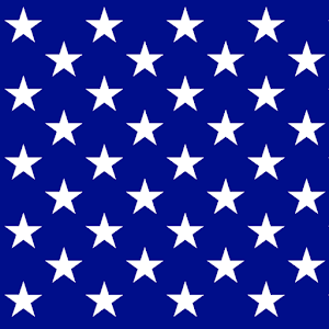 United States Constitution Pro.apk 2.0