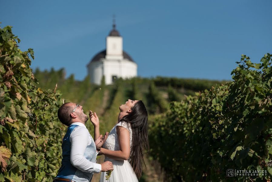 Fotografo di matrimoni Attila Janics (attilajanics). Foto del 3 marzo 2019