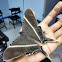 Giant Uraniid Moth