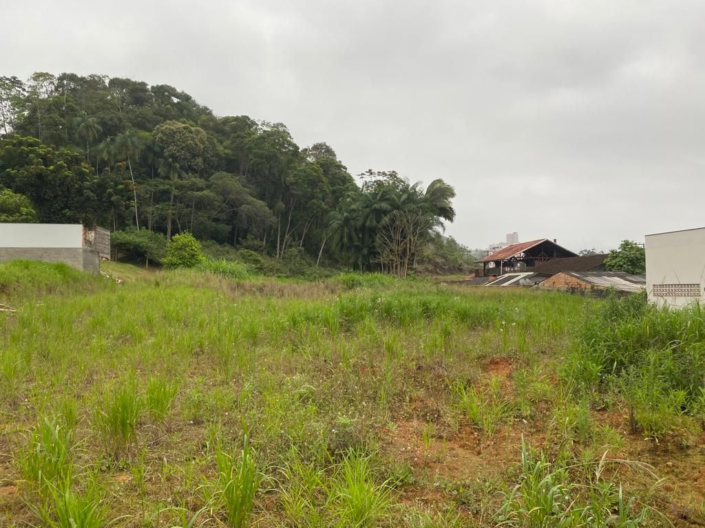 Terrenos à venda Rio da Luz