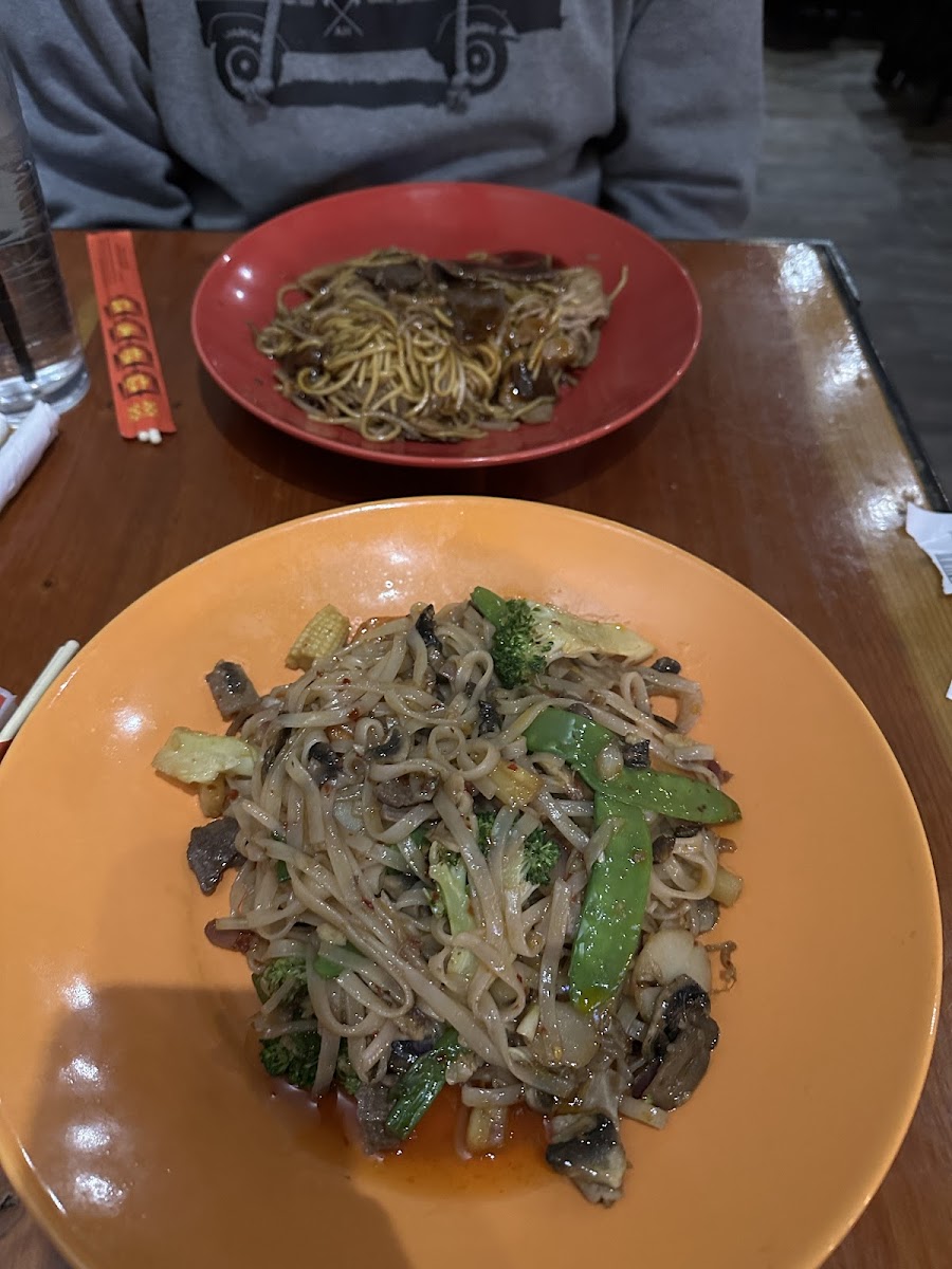 GF Mongolian