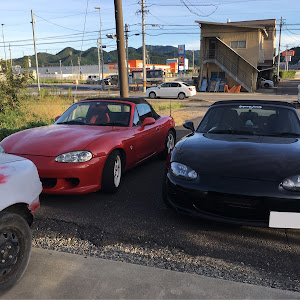 ロードスター NB8C