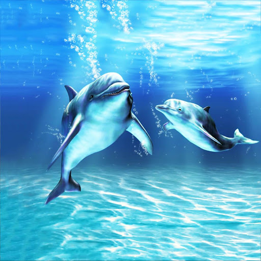 免費下載個人化APP|Sea Dolphin Live Wallpaper app開箱文|APP開箱王