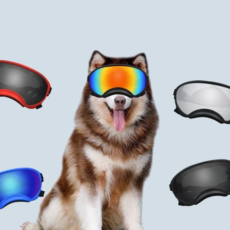 Modische Ski-Sonnenbrille für mittelgroße und große Hunde. Schützen Sie die Augen Ihres Hundes stilvoll vor Sonne, Wind und Schnee.