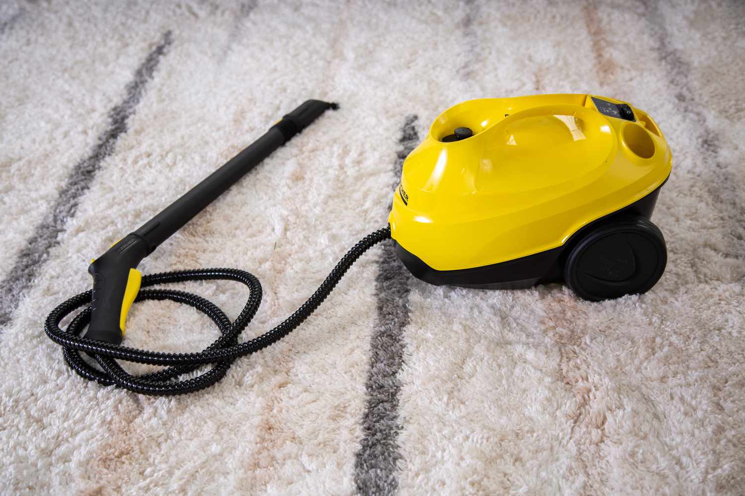 Steam Cleaner: Overview