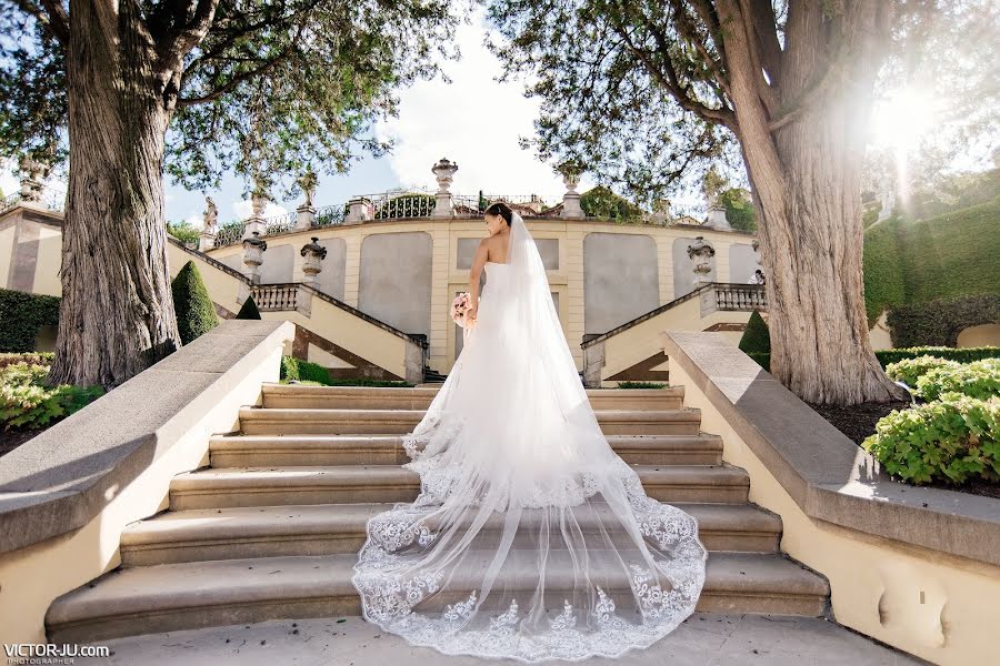 Wedding photographer Viktor Zdvizhkov (zdvizhkov). Photo of 11 August 2018