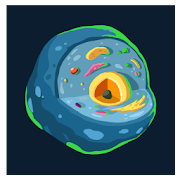 Biology Trivia 1.5657 Icon