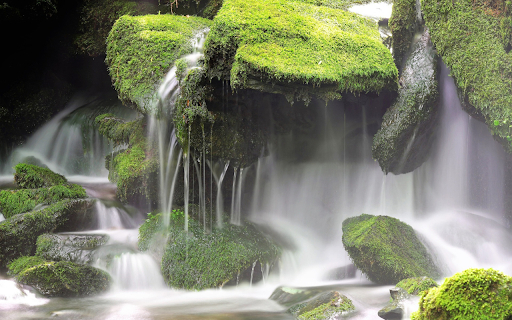 Moss waterfall