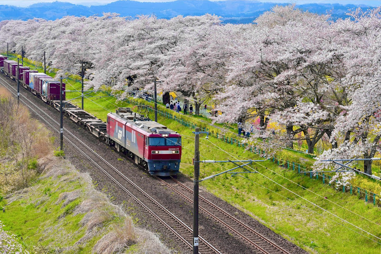 の投稿画像3枚目