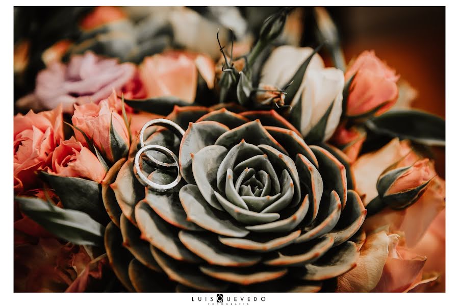 Fotógrafo de casamento Luis Quevedo (luisquevedo). Foto de 19 de janeiro 2020