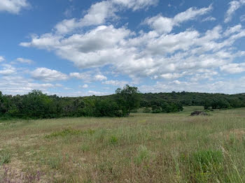 terrain à Dions (30)