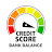 Check Credit Score Bank Balanc icon
