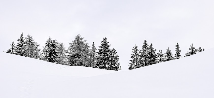 aspettando la primavera di rudi59