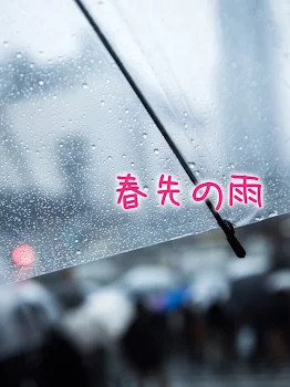 ⚜️春先の雨⚜️