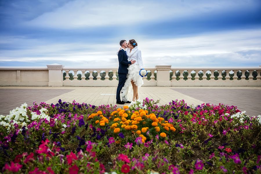 Wedding photographer Aleksey Moiseev (moiseevstudio). Photo of 8 September 2016