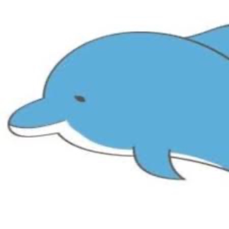 dolphin