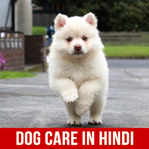 Download Dog Care in Hindi For PC Windows and Mac