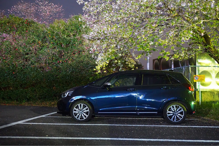 フィットの桜と愛車・夜桜・コラボ・ミラーレス一眼・高岡　天ケ城公園に関するカスタム事例の投稿画像1枚目