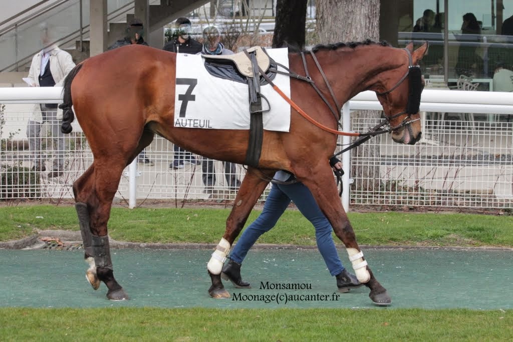 Photos Auteuil 14-03-2015 V3KdxZOdnUoqY7d6xp2Cv5Nl7TaAruZgsSF0YSkooCTP=w1024-h683-no