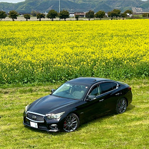 スカイライン HV37