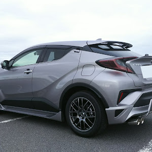 C-HR ZYX10