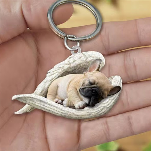 Title 22, Creative Sleeping Angel Pet Keychain Pendant A ...