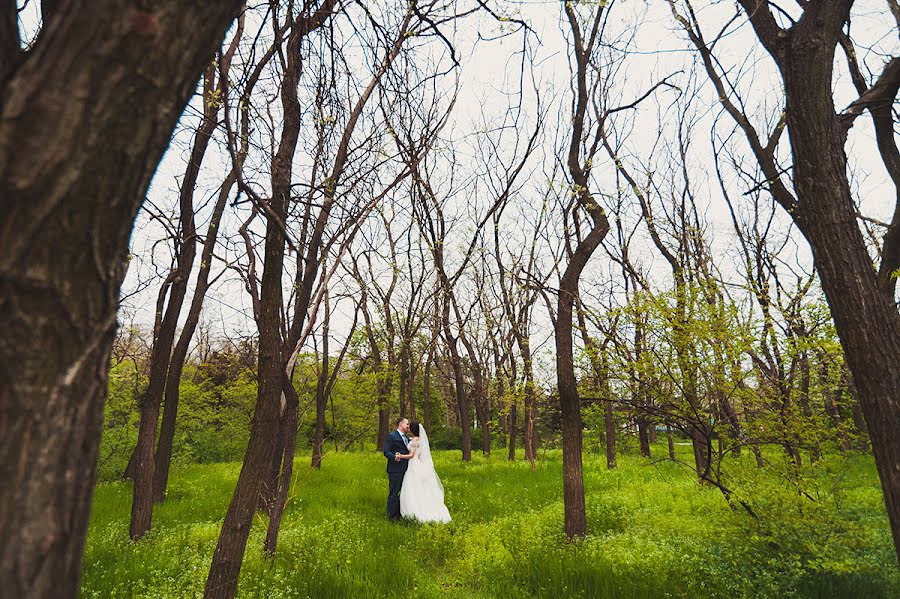 Fotógrafo de casamento Dmitriy Vasilenko (dmvasilenko). Foto de 5 de maio 2015