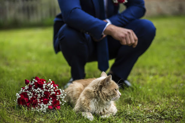 Fotógrafo de casamento Natalya Sidorovich (zlatalir). Foto de 19 de outubro 2016