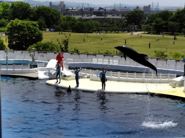 の投稿画像20枚目