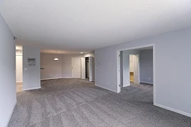 Living room with plush carpet and light gray walls